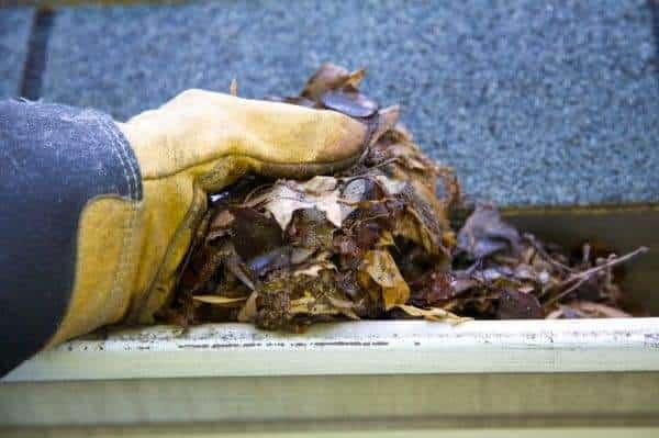 gutter cleaning tips