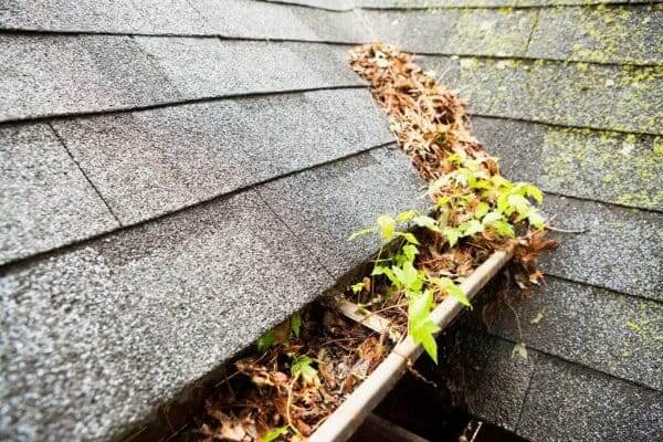 rain gutter cleaning